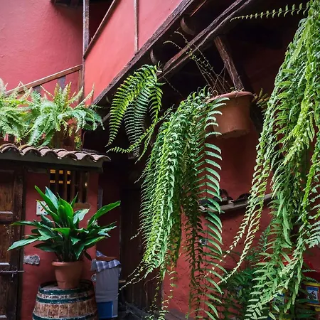 Rural Orotava La Orotava