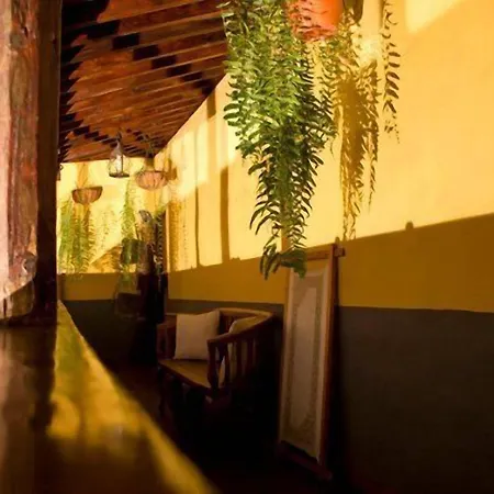 Rural Orotava Séjour à la campagne La Orotava