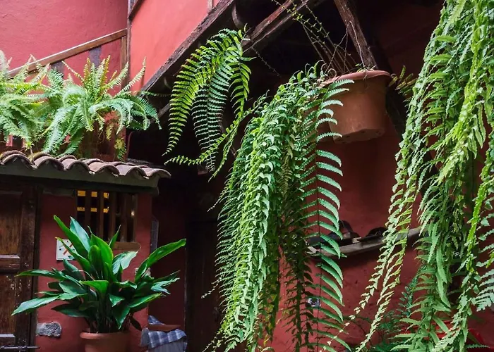 Rural Orotava La Orotava