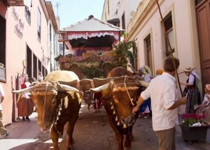Country house Rural Orotava La Orotava