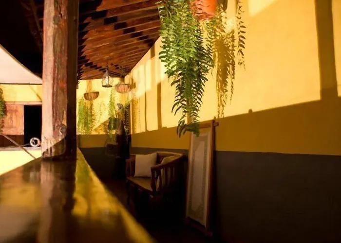 Rural Orotava Country house La Orotava